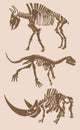 Graphical vintage set of skeletons, vector bull, raptor and woolly rhino