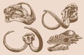 Graphical vintage set of skulls of dinosaurs and mammoth,vector sepia illustration