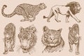 Graphical vintage set of tigers and lions on sepia background,vector hand-drawn illustration for tattoo and printing Royalty Free Stock Photo