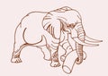 Hand-drawn vintage sketch of elephant, vector sepia illustration