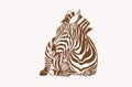 Graphical vintage zebra ,sepia background, vector illustration Royalty Free Stock Photo