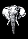 Graphical white portrait of elephant on black background,vector engraved illustration