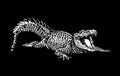 Graphical white silhouette of crocodile on black background,3D illustration
