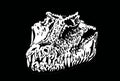 Graphical white silhouette of crocodile skull on black background,3D illustration