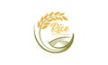 Paddy wheat, rice organic grain products food banner logo