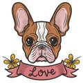 cute french bulldog with the word love