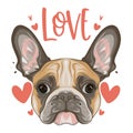 cute french bulldog with the word love