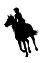 Graphics design drawing silhouette horse racing woman for the race with white background vector illustration Royalty Free Stock Photo