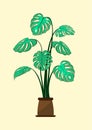 Graphics drawing tree monstera with yellow background