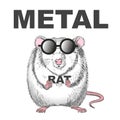 Graphics illustration of white metal rat with glasses
