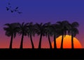 Graphics image coconut tree with sunset or sunrise background orange and blue of sky vector illustration Royalty Free Stock Photo