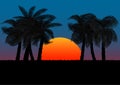 Graphics image coconut tree with sunset or sunrise background orange and blue of sky vector illustration Royalty Free Stock Photo