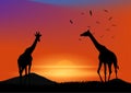 Graphics landscape view giraffe at the forest with mountain background and twilight silhouette vector illustration Royalty Free Stock Photo