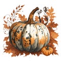 graphics large beautiful pumpkin decoration for thanksgiving or halloween Royalty Free Stock Photo