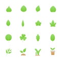 Leafs Icons. Set of Nature Vector Illustration Color Icons Flat Style.