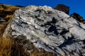 Graphite intrusion in metamorphic marble rocks near main continental thrust Himalayas geological region