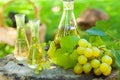 Grappa, liquor from grapes Royalty Free Stock Photo
