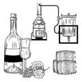 Grappa set on white background. Italian alcohol in style retro engraving bottle, glass, grapes, alembic Royalty Free Stock Photo