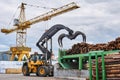 Grapple loader unloads logs onto a feed conveyor in the yard of a woodworking plant