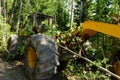 Grapple Skidder on Logging Site Royalty Free Stock Photo