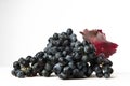 Grappolo di Lambrusco Royalty Free Stock Photo