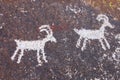 Grapvine Canyon Petroglyphs Royalty Free Stock Photo