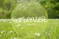 Gras Meadow, Daisy Flowers, Gartenzeit Means Garden Time Royalty Free Stock Photo