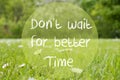 Gras Meadow, Daisy Flowers, Quote Dont Wait For Better Time