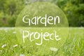 Gras Meadow, Daisy Flowers, Text Garden Project