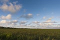 Grasland, grassland