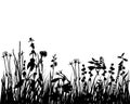 Flowers, Grass and Leaves Silhouette Royalty Free Stock Photo