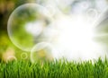 grass and abstract bubbles in the garden on a green blurred background Royalty Free Stock Photo