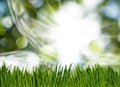 grass and abstract bubbles in the garden on green blurred background close-up Royalty Free Stock Photo