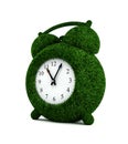 Grass alarm clock 3