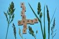 Grass Allergy, crossword with grasses Royalty Free Stock Photo