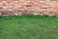 Grass along the wall. Royalty Free Stock Photo