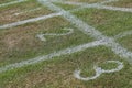 Grass athletics track showing first, second, third