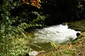 Mountain stream with a small waterfall  and grass with autumn leaves on the bank  2 Royalty Free Stock Photo