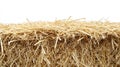 Grass in Autumn setting with haystack and dry grass isolated on white background Royalty Free Stock Photo