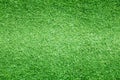 Grass background Golf Courses green lawn Royalty Free Stock Photo