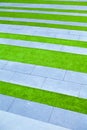 Grass background green lawn pattern textured