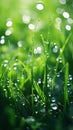 Grass background macro. Raindrops on greenery. Bright rich green color. AI Generated. Royalty Free Stock Photo