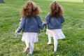 Grass background. Two twins girls hand in hand walking on the meadow in park. From back and rear. Curly toddler sisters