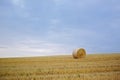 Grass, bale and stack of hay in landscape of field from harvest of straw in summer on farm with agriculture. Farming Royalty Free Stock Photo