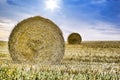 Grass, bale and stack of hay in landscape of field in summer harvest on farm with agriculture. Farming, haystack and Royalty Free Stock Photo
