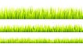 Grass banner. Cereal sprouts. Royalty Free Stock Photo