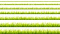 Grass banner. Cereal sprouts. Springtime growth greenery. Green turf overlay stripes.