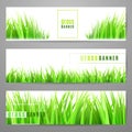 Grass banner set with fresh green tufts isolated on white background Royalty Free Stock Photo