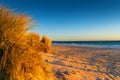 Grass and beach at sunset Royalty Free Stock Photo