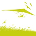 Grass, birds and hang gliders